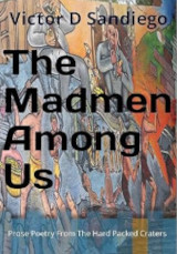 Image of book cover: The Madmen Among Us