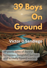 Image of book cover: 39 Boys On Ground